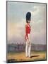 Officer, Grenadier Guards, 19th Century (1909)-Ralph Nevill-Mounted Premium Giclee Print