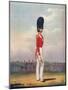 Officer, Grenadier Guards, 19th Century (1909)-Ralph Nevill-Mounted Giclee Print