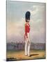 Officer, Grenadier Guards, 19th Century (1909)-Ralph Nevill-Mounted Giclee Print