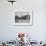 Officer Inspecting a Mounted Detatchment of the French Foreign Legion, Syria, 20th Century-null-Framed Photographic Print displayed on a wall