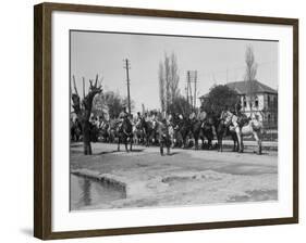 Officer Inspecting a Mounted Detatchment of the French Foreign Legion, Syria, 20th Century-null-Framed Photographic Print