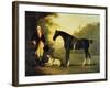 Officer of the Royal Horse Guards with His Charger and Dog, 1776-John Best-Framed Giclee Print