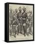 Officers, Non-Commissioned Officers, and Men of the Indian Contingent, on a Visit to England-null-Framed Stretched Canvas