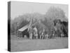 Officers of 4th New Jersey Infantry, American Civil War-Stocktrek Images-Stretched Canvas