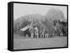 Officers of 4th New Jersey Infantry, American Civil War-Stocktrek Images-Framed Stretched Canvas