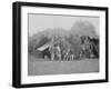 Officers of 4th New Jersey Infantry, American Civil War-Stocktrek Images-Framed Photographic Print