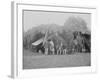 Officers of 4th New Jersey Infantry, American Civil War-Stocktrek Images-Framed Photographic Print