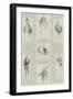 Officers of Parliament, 1894-null-Framed Giclee Print