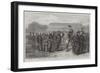 Officers of the Victoria Rifles-null-Framed Giclee Print