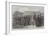 Officers of the Victoria Rifles-null-Framed Giclee Print