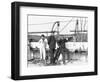 Officers on the USS St. Mary's-null-Framed Photographic Print