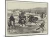Officers Playing Polo (Hockey on Horseback) on Woolwich-Common-Matthew White Ridley-Mounted Giclee Print