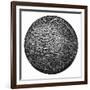 Official Basketball, 1901-null-Framed Giclee Print