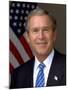 Official Photograph Portrait of US President George W. Bush. 2003-null-Mounted Photo