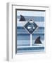 Official Snorkeling Area-Hannes Beer-Framed Art Print