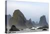 Offshore Sea Stacks, Third Beach-null-Stretched Canvas