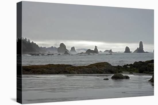 Offshore Sea Stacks-null-Stretched Canvas
