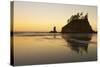 Offshore Sea Stacks-null-Stretched Canvas