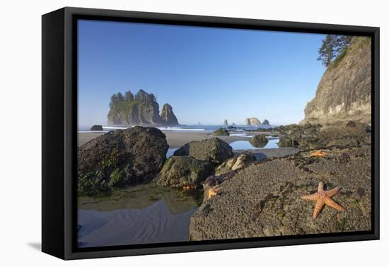 Offsore Sea Stacks and Tidepools with Ochre Sea Stars-null-Framed Stretched Canvas
