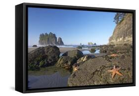 Offsore Sea Stacks and Tidepools with Ochre Sea Stars-null-Framed Stretched Canvas