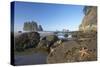 Offsore Sea Stacks and Tidepools with Ochre Sea Stars-null-Stretched Canvas