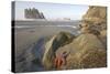 Offsore Sea Stacks and Tidepools with Ochre Sea Stars-null-Stretched Canvas