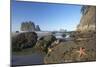 Offsore Sea Stacks and Tidepools with Ochre Sea Stars-null-Mounted Photographic Print