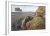 Offsore Sea Stacks and Tidepools with Ochre Sea Stars-null-Framed Photographic Print