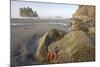 Offsore Sea Stacks and Tidepools with Ochre Sea Stars-null-Mounted Photographic Print