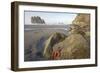 Offsore Sea Stacks and Tidepools with Ochre Sea Stars-null-Framed Photographic Print