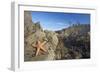 Offsore Sea Stacks and Tidepools with Ochre Sea-null-Framed Photographic Print