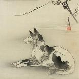 Black and White Dog, 1910-Ogata Gekko-Framed Giclee Print