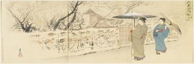 Garyo-Bai Plum in Kameido, December 1895-Ogata Gekko-Giclee Print