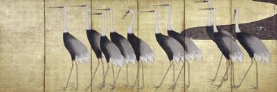 Cranes, Japanese Edo Screen Painting