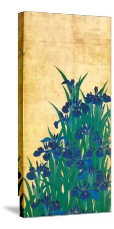 Irises, Japanese