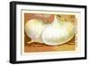 Ognon Blanc Tres Hatif-null-Framed Art Print