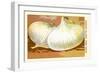 Ognon Blanc Tres Hatif-null-Framed Art Print