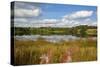 Ogston Reservoir, Derbyshire, England, United Kingdom, Europe-Frank Fell-Stretched Canvas