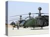 Oh-58D Kiowa Warrior Helicopters Parked at Camp Speicher, Iraq-null-Stretched Canvas