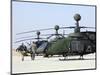 Oh-58D Kiowa Warrior Helicopters Parked at Camp Speicher, Iraq-null-Mounted Photographic Print