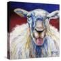 Oh Baa Ma-Marcia Baldwin-Stretched Canvas