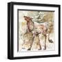 Oh Bull!-Jamie Carter-Framed Art Print