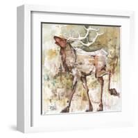 Oh Bull!-Jamie Carter-Framed Art Print