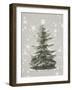 Oh Christmas Tree I-Sasha-Framed Giclee Print