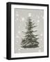 Oh Christmas Tree I-Sasha-Framed Giclee Print