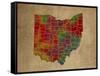 OH Colorful Counties-Red Atlas Designs-Framed Stretched Canvas