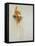 Oh Deer-Clayton Rabo-Framed Stretched Canvas