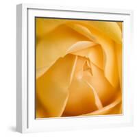 Oh So Close 5-Doug Chinnery-Framed Photographic Print