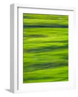 Oh So Green-Doug Chinnery-Framed Photographic Print