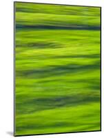 Oh So Green-Doug Chinnery-Mounted Photographic Print